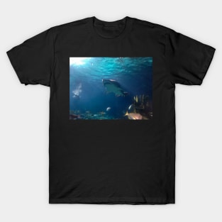 Shark! T-Shirt